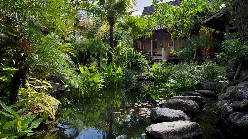 Villa Radha - Entrance pond